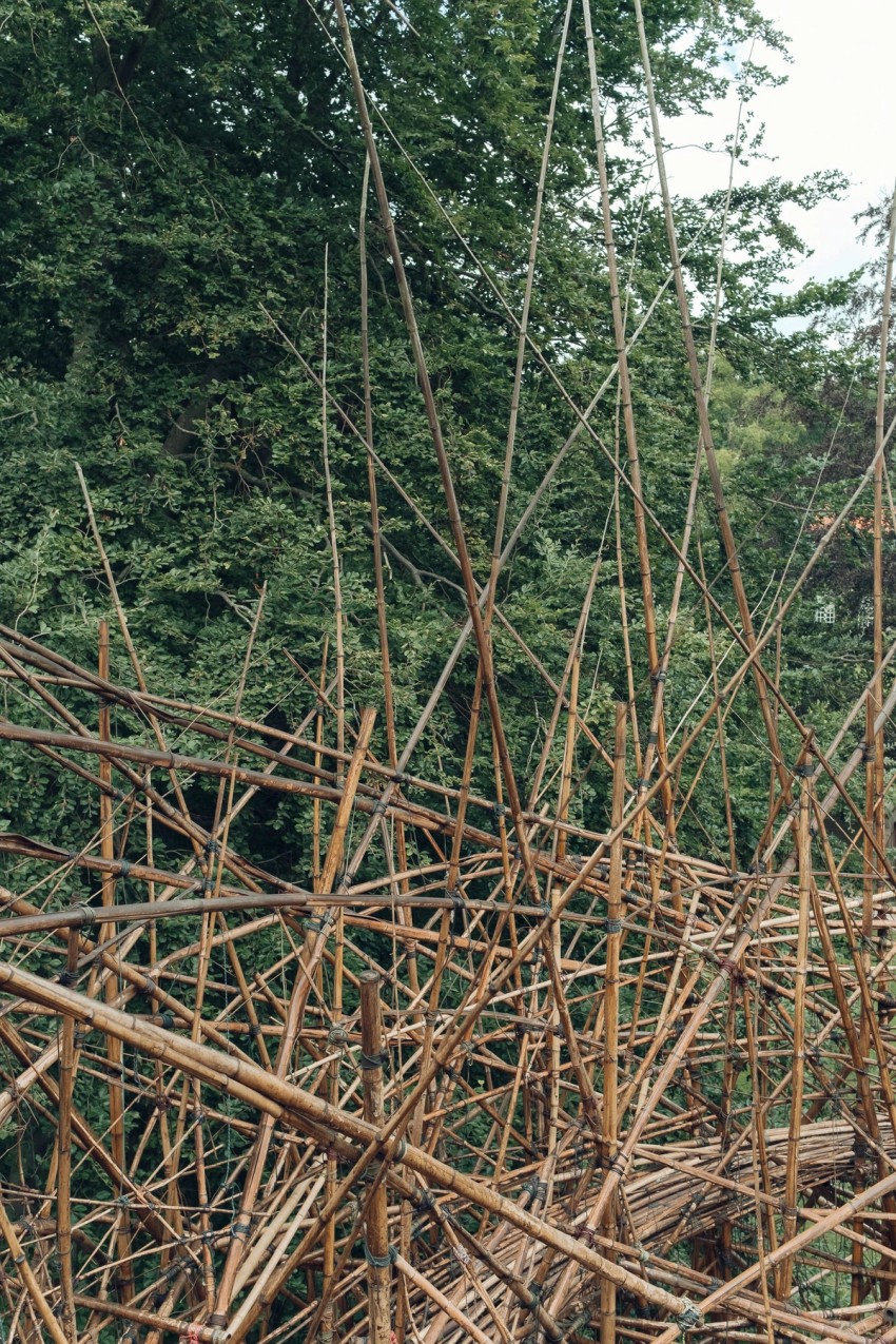 exhibitions and galleries by India Hobson