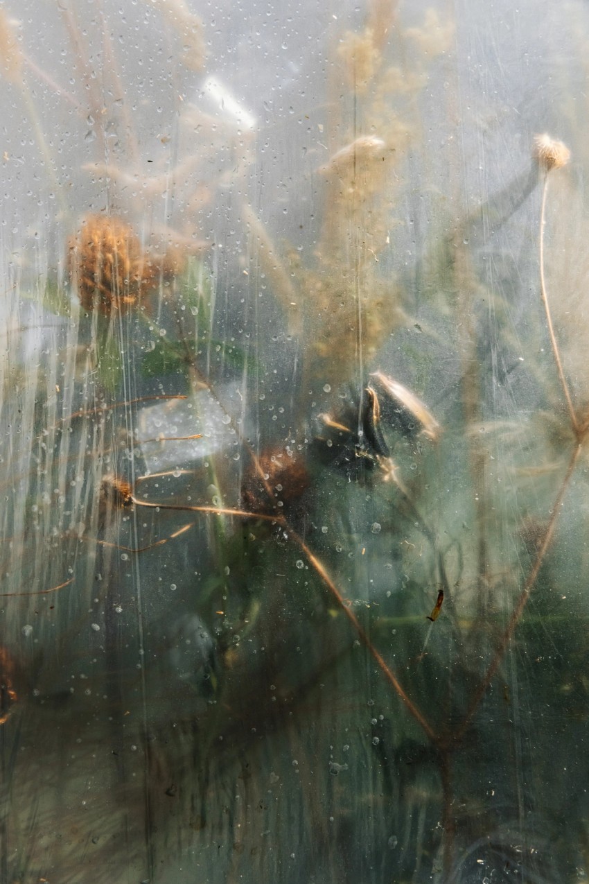 polytunnel paintings by India Hobson
