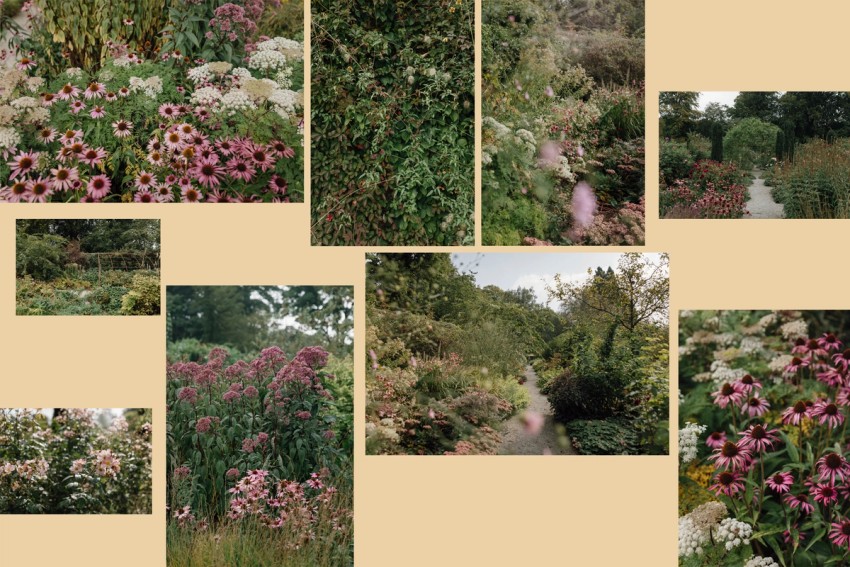 gardens & green by India Hobson