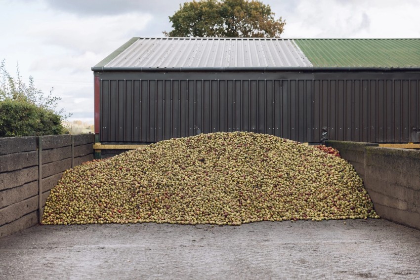 Robinsons Cider by India Hobson