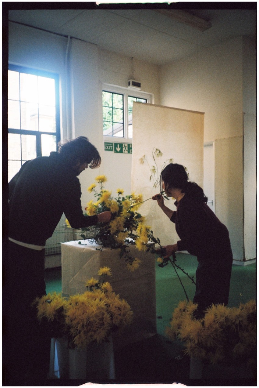 Chrysanthemum by India Hobson