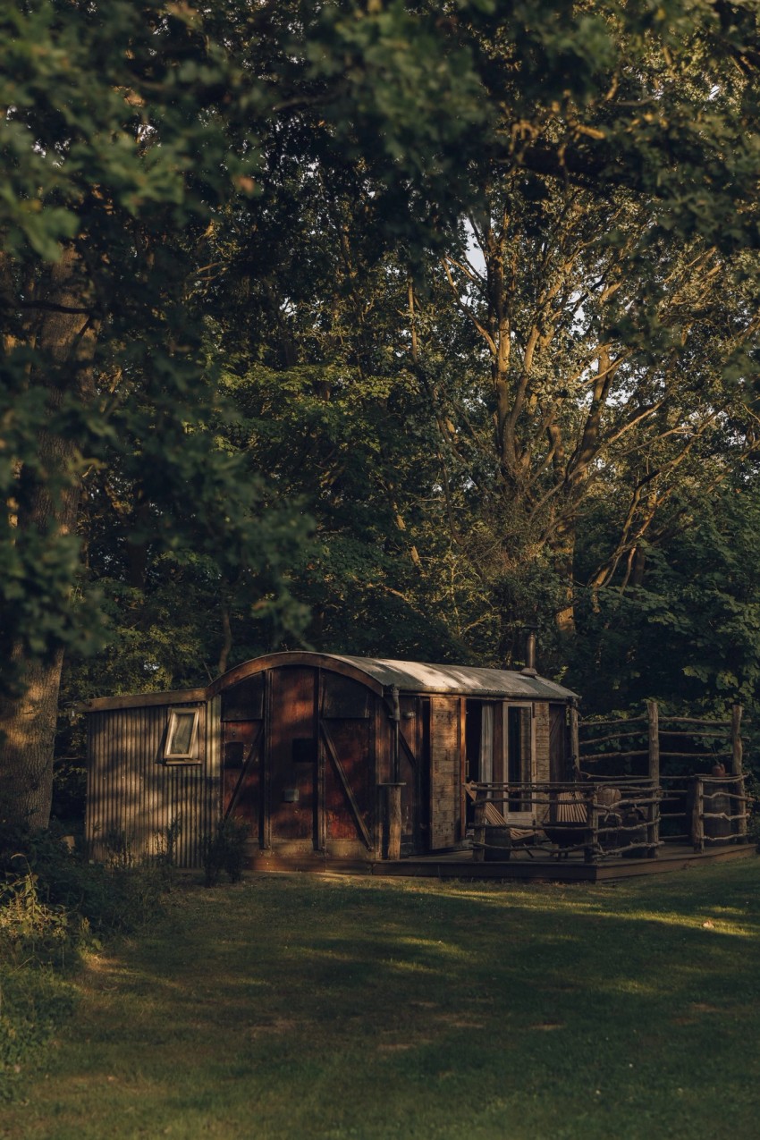 Settle Norfolk by India Hobson