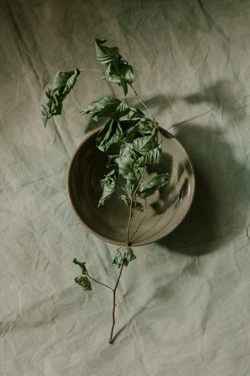 Pottery West by India Hobson
