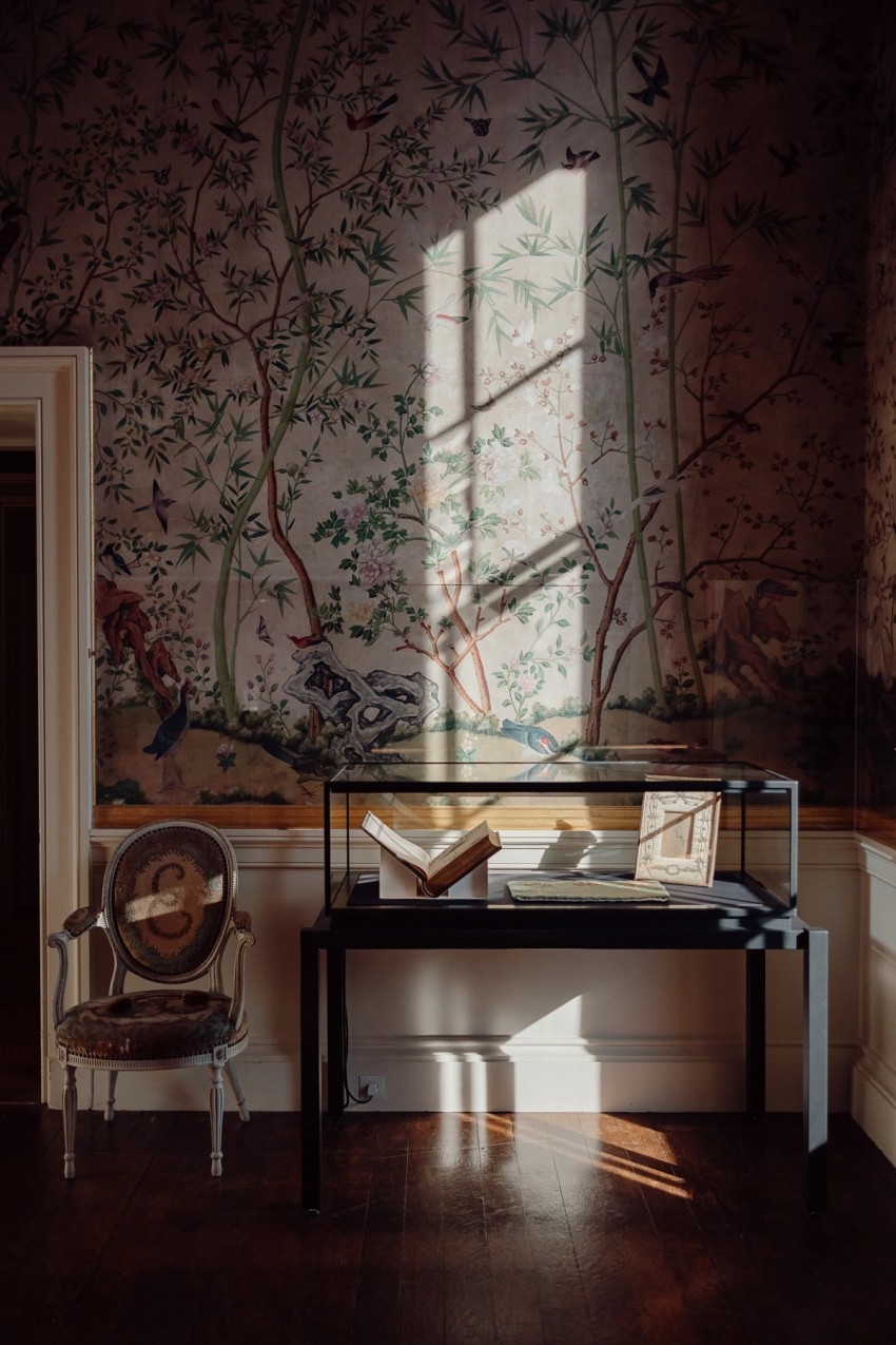 exhibitions and galleries by India Hobson