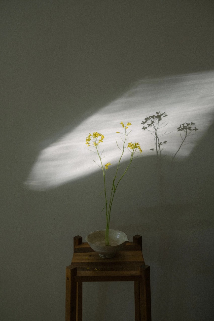 flora by India Hobson
