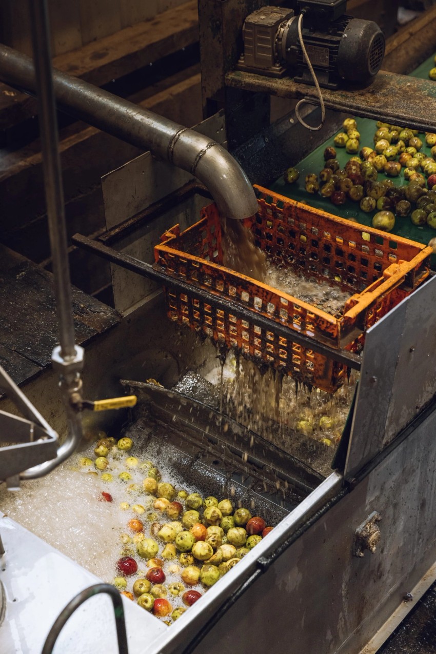 Robinsons Cider by India Hobson