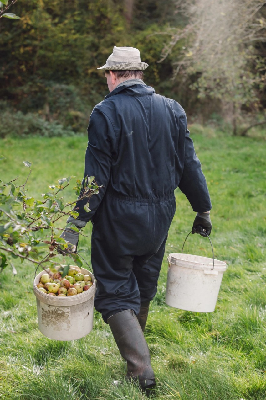 Robinsons Cider by India Hobson