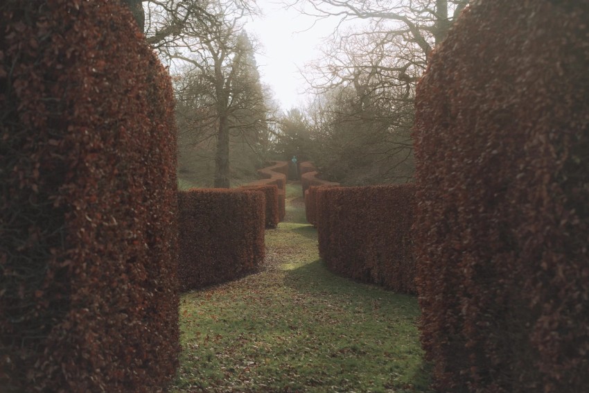 gardens & green by India Hobson