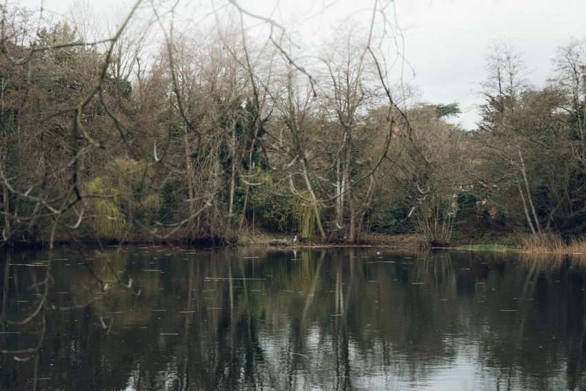 Settle Norfolk by India Hobson