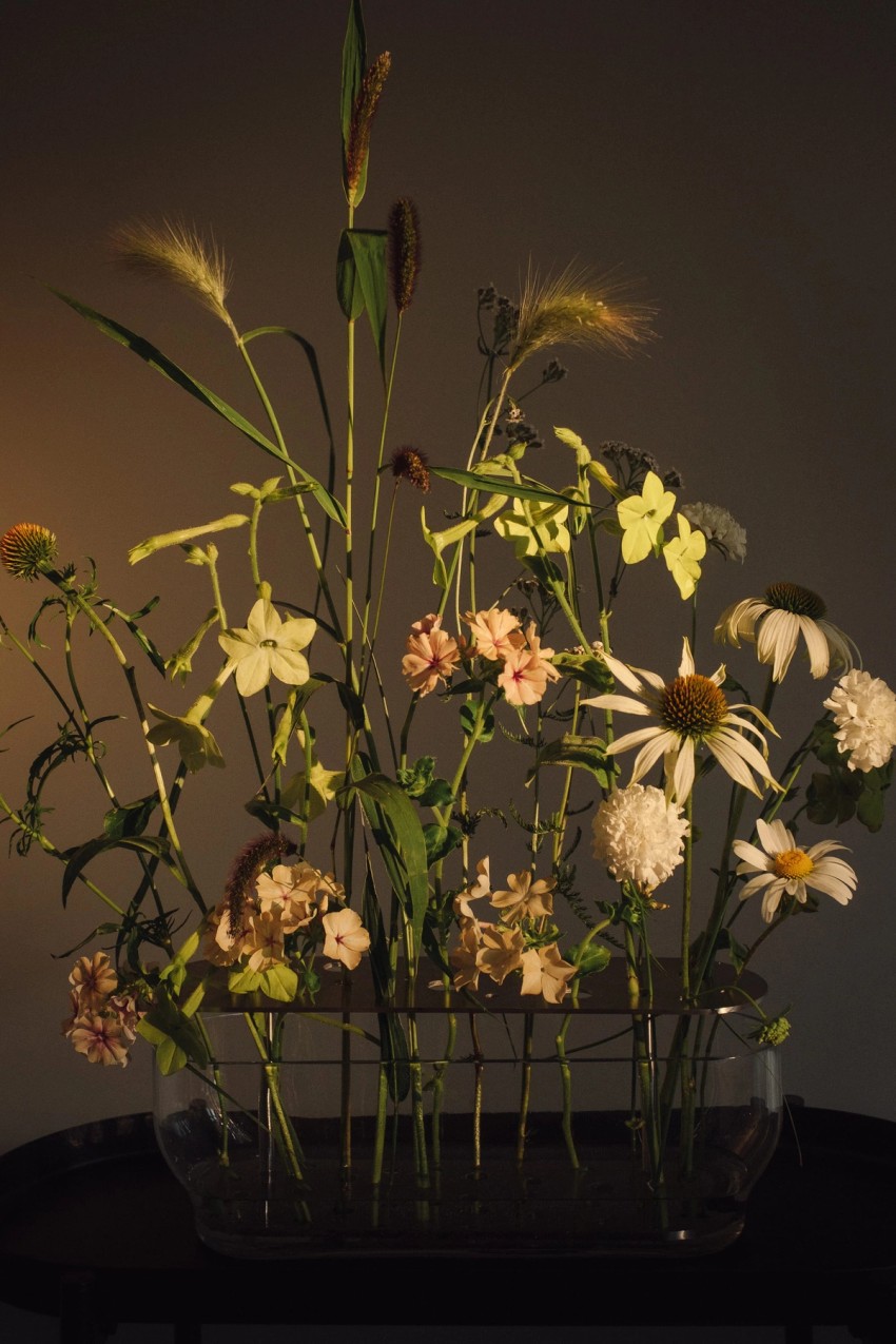 flora by India Hobson