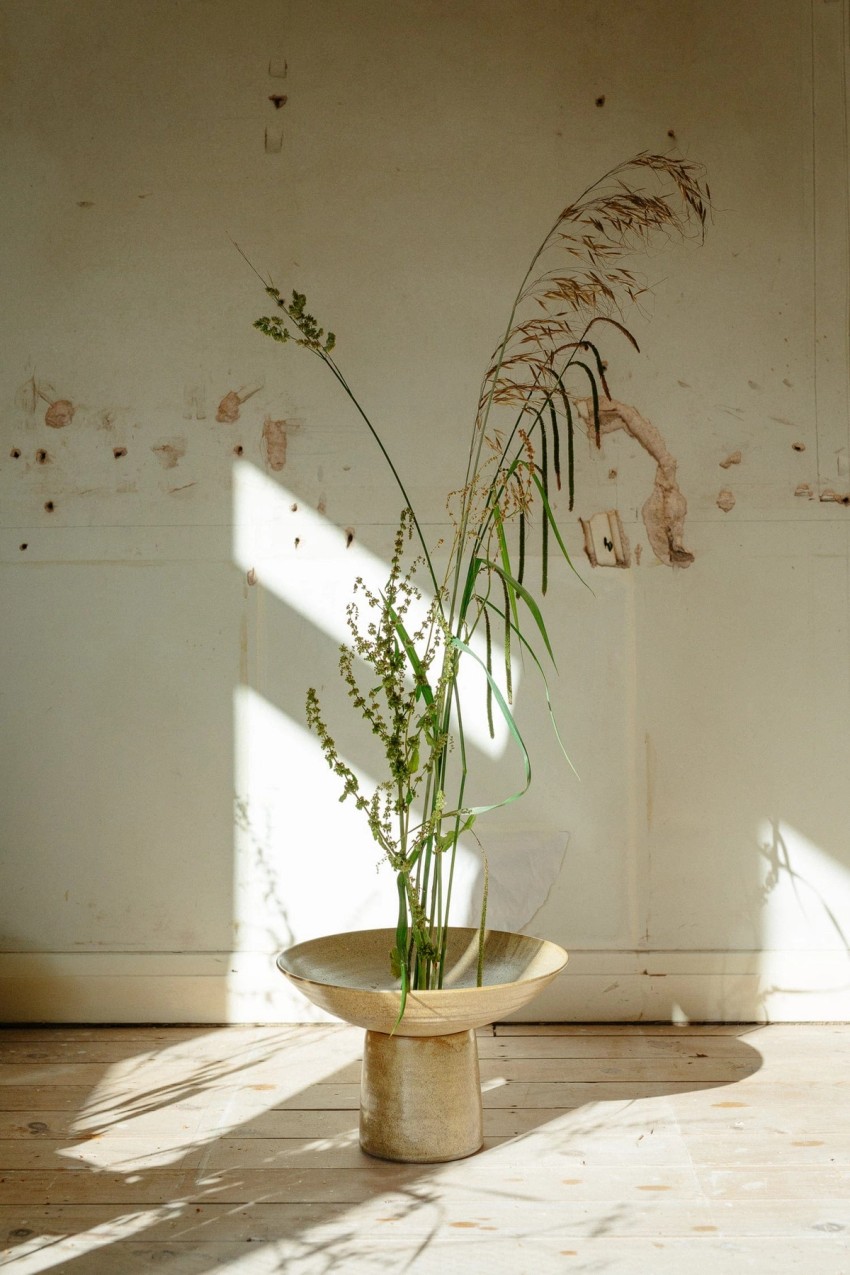 still life & object by India Hobson