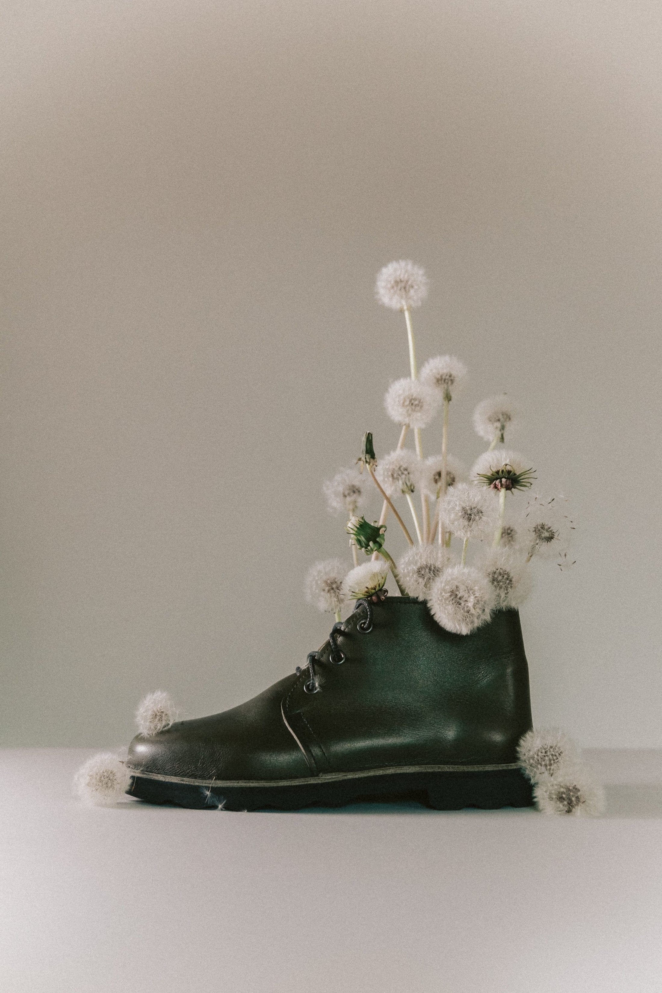 still life & object by India Hobson