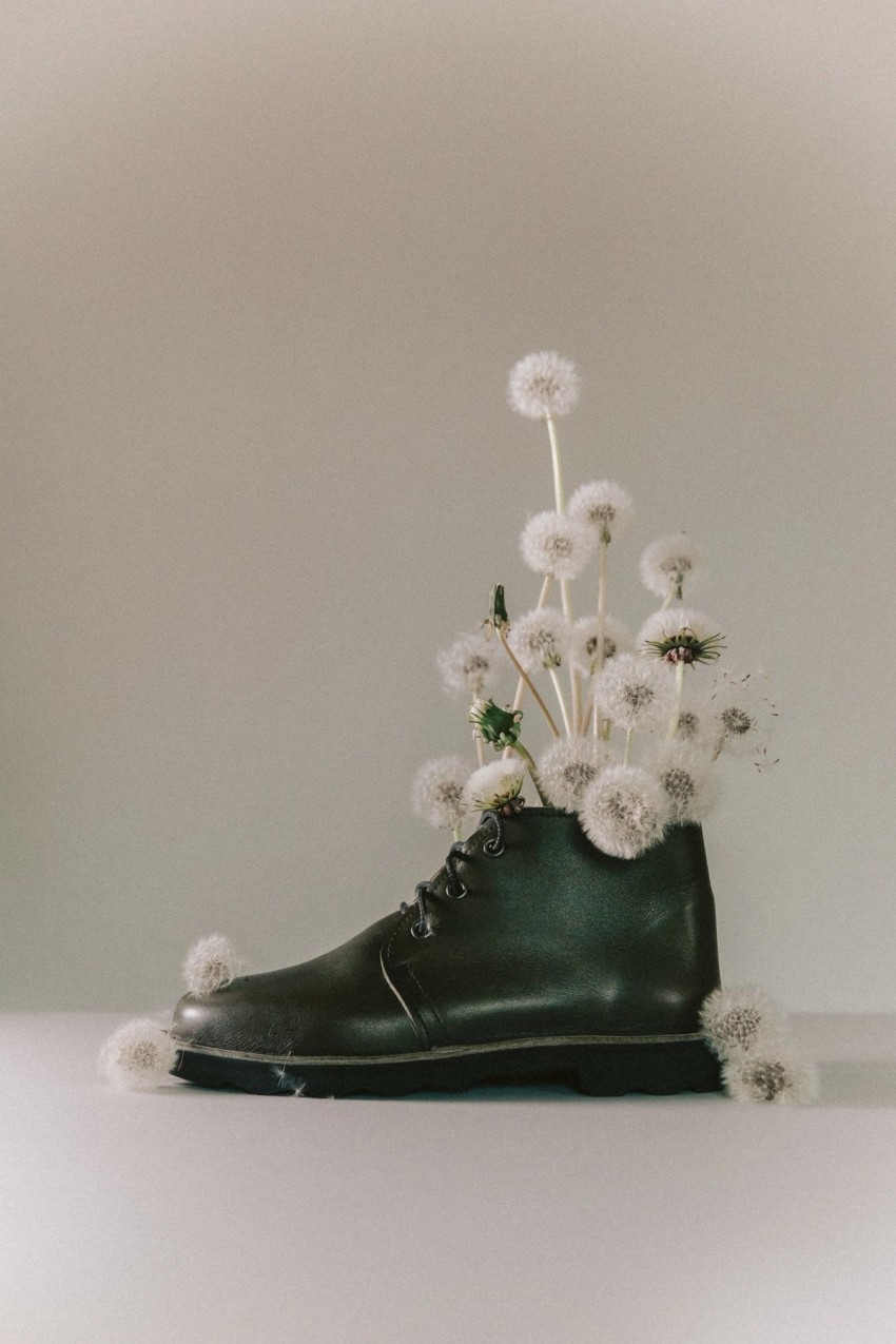 still life & object by India Hobson