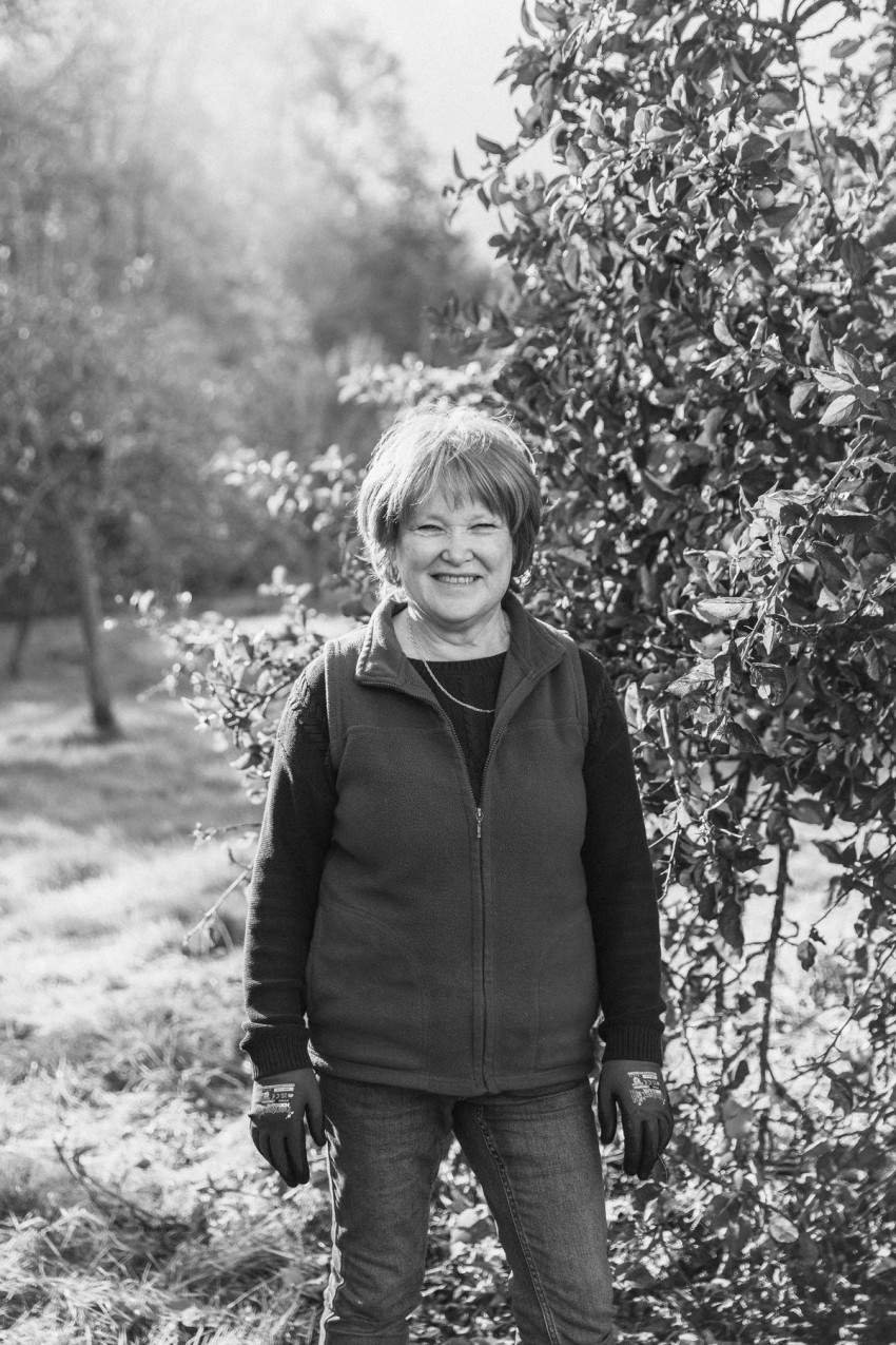 Robinsons Cider by India Hobson