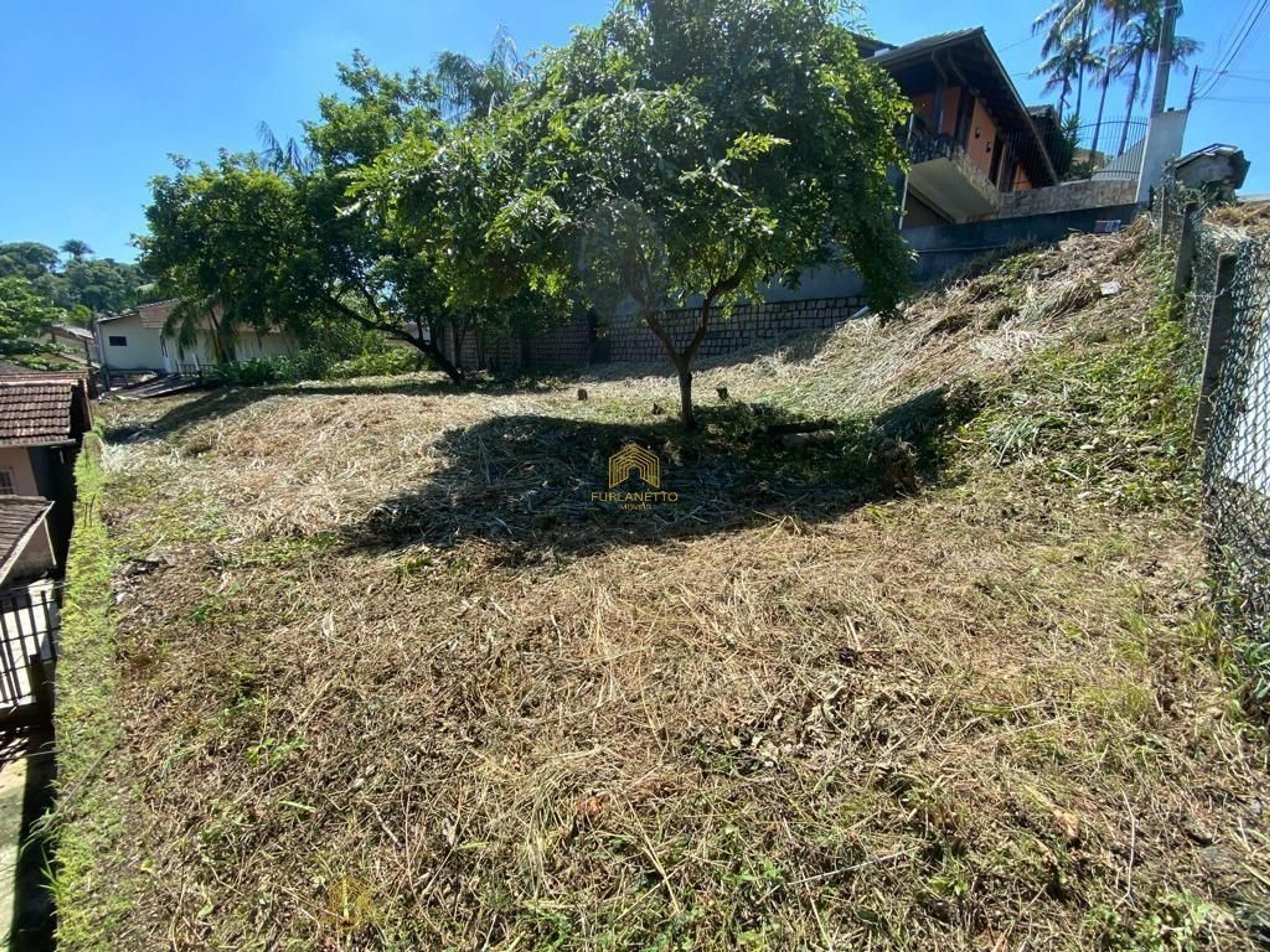 Terreno em Itaum, Joinville — foto 2