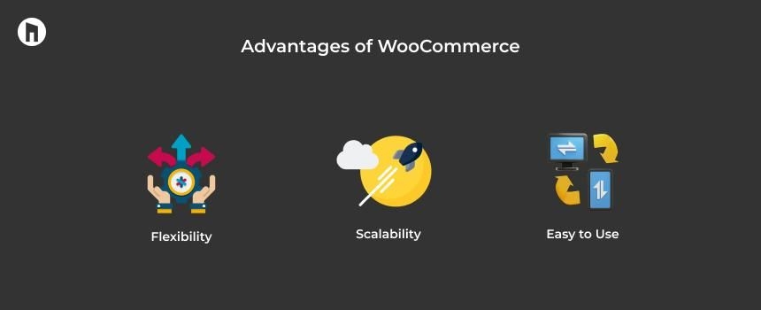 What is woo-commerce? A complete guide for beginners