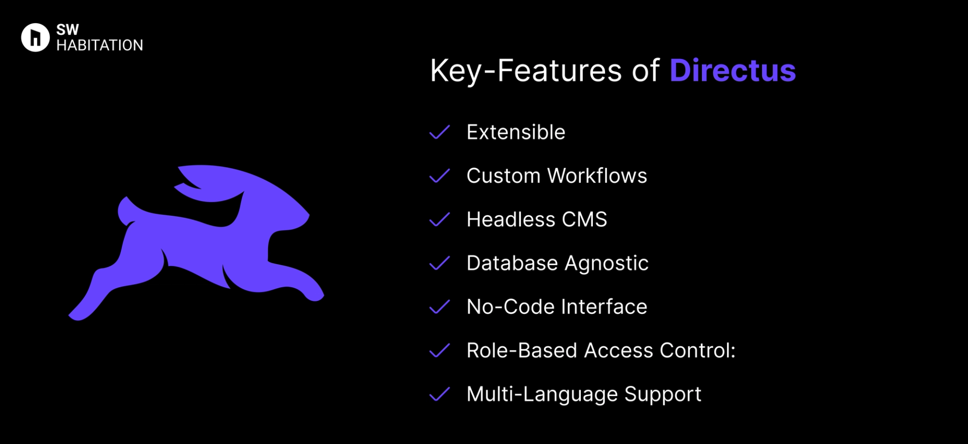 key features of directus