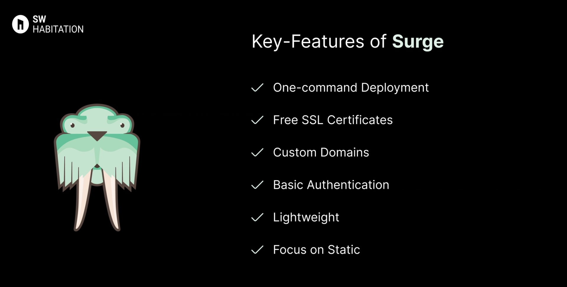 Key Features of Surge