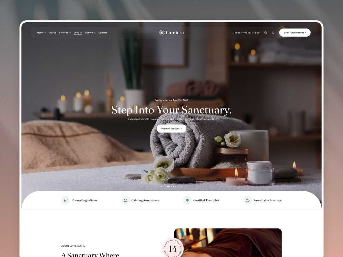 Lumiera screenshot 1