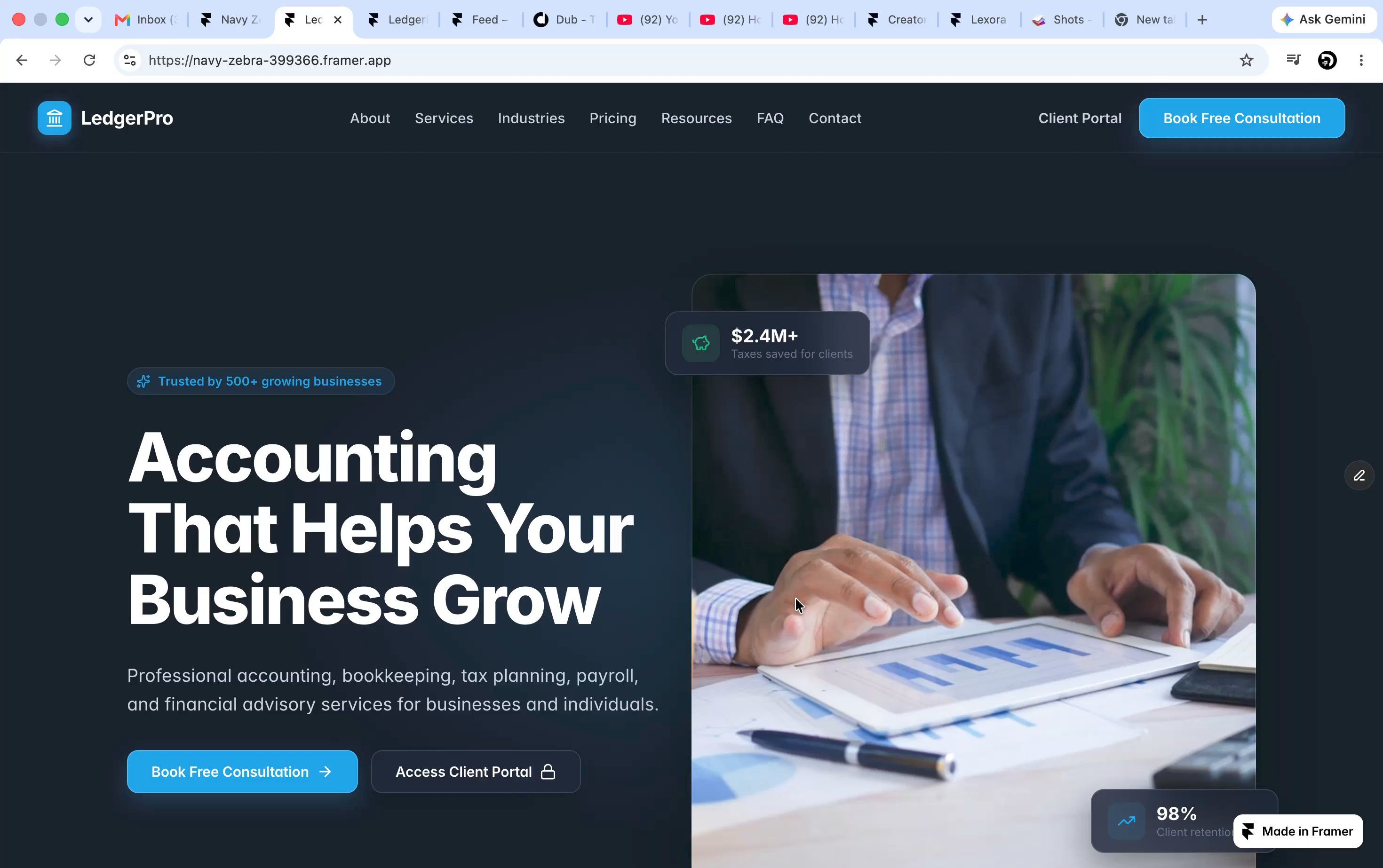 LedgerPro