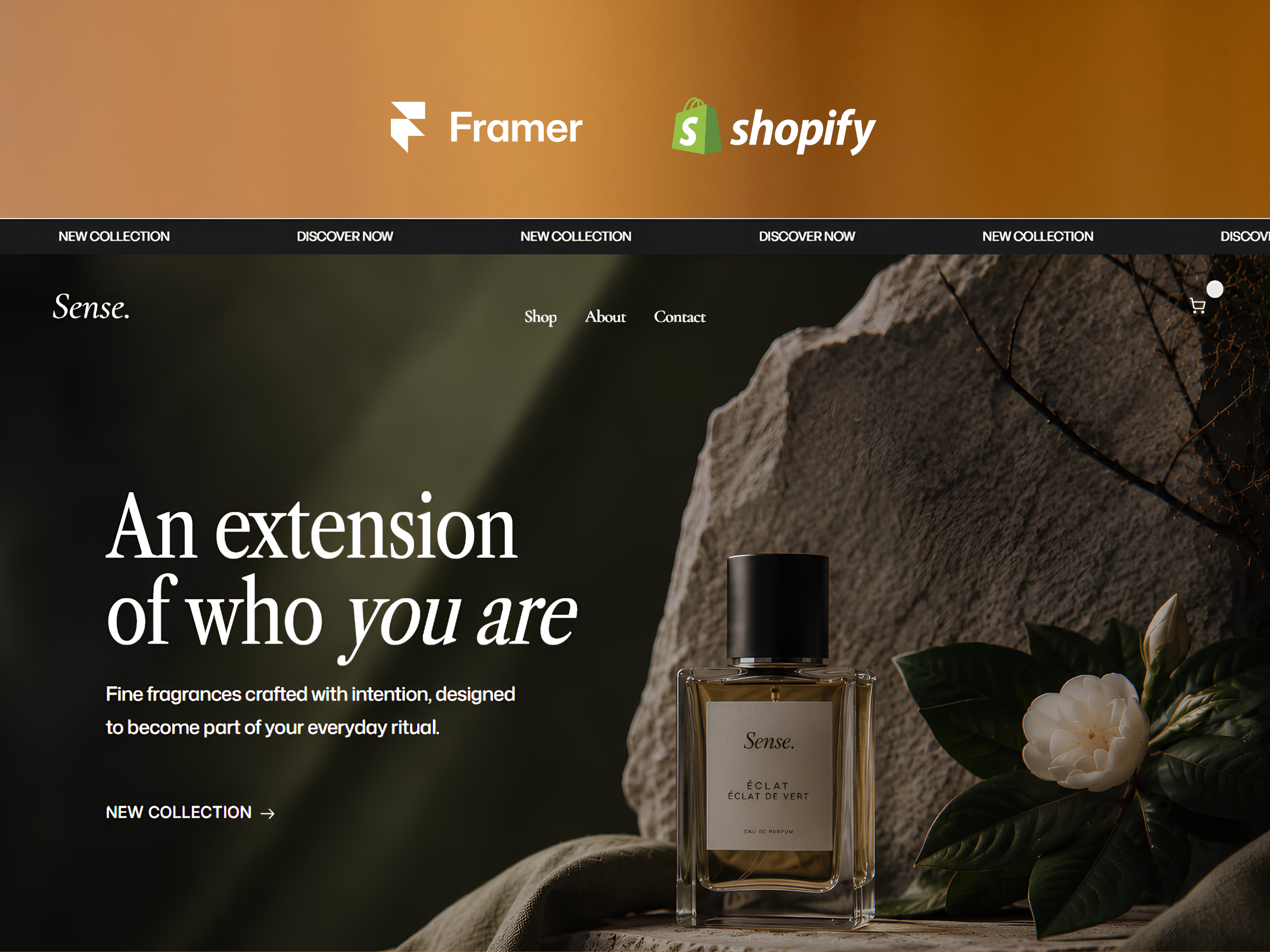 Sense Parfumerie