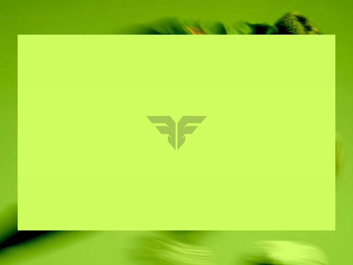 Flexon screenshot 1