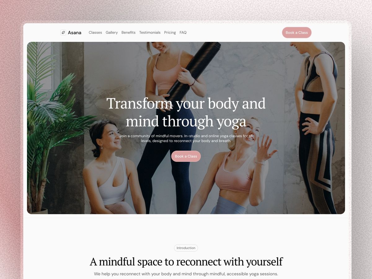 Asana screenshot 1