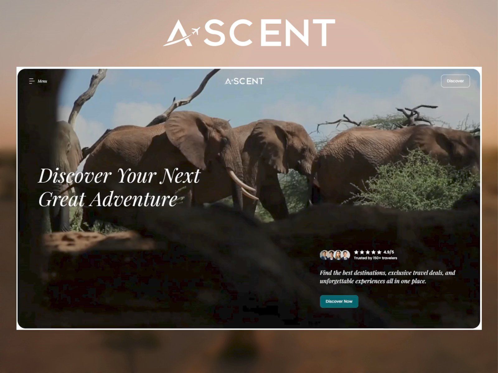 Ascent X