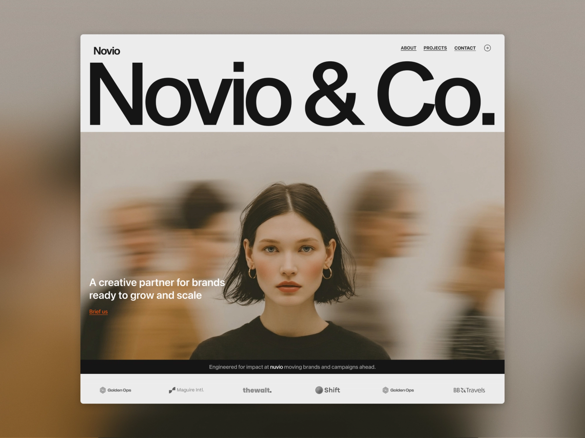 Novio & Co. screenshot 1