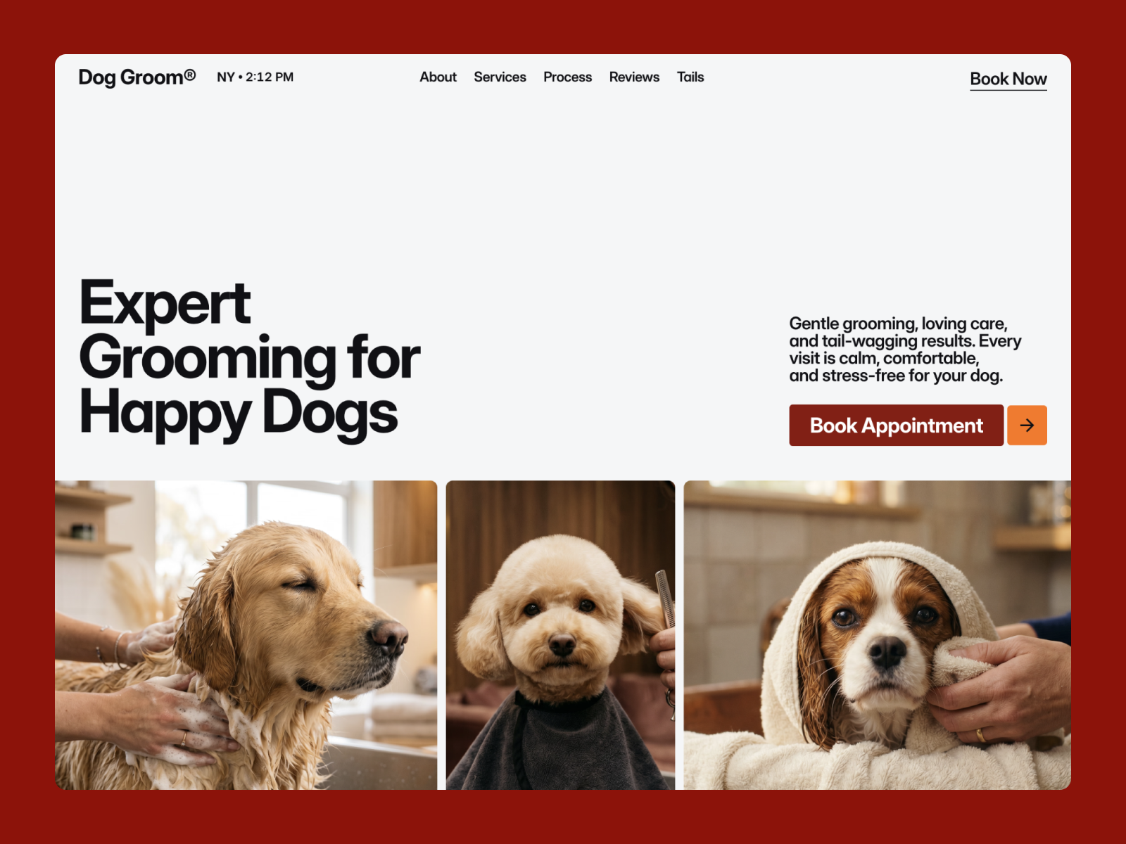 Dog Groom