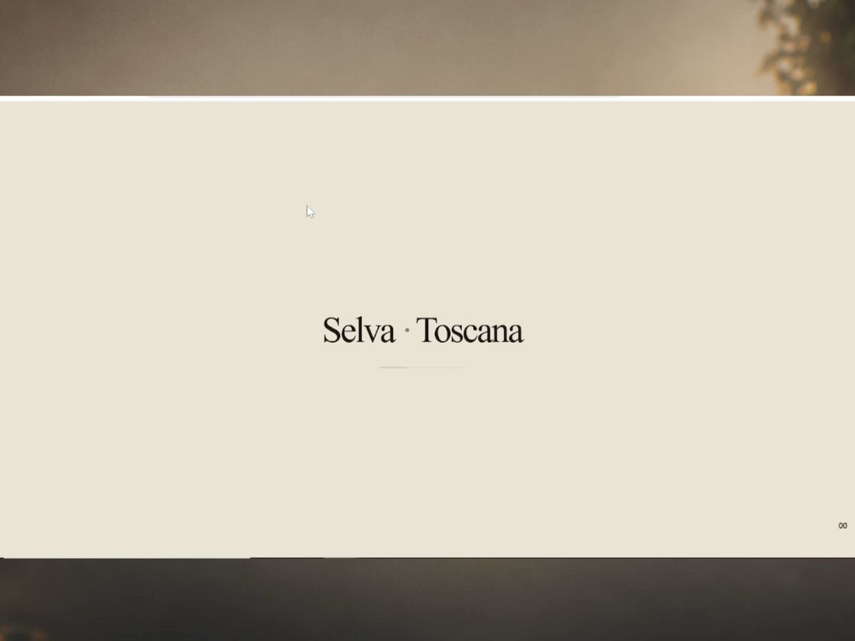 Selva screenshot 1