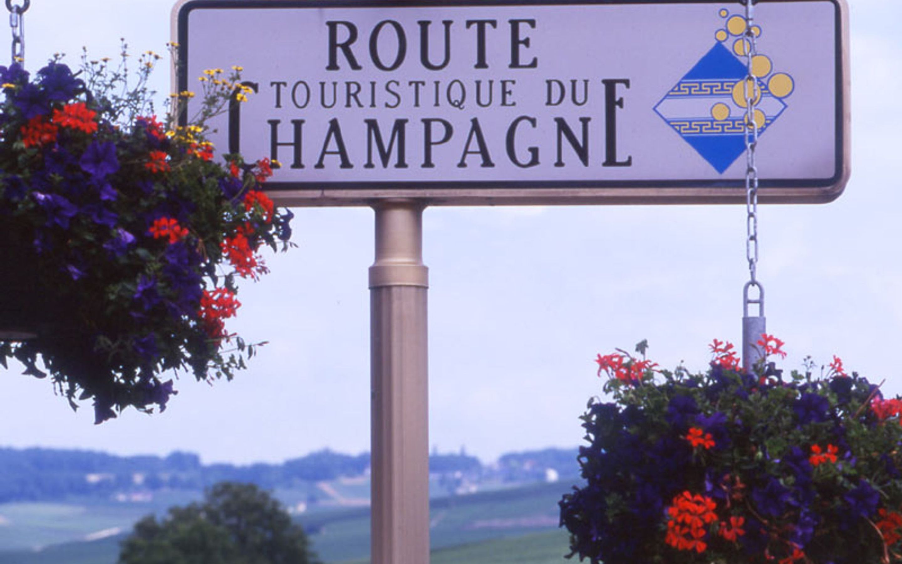 Cycle the Champagne region
