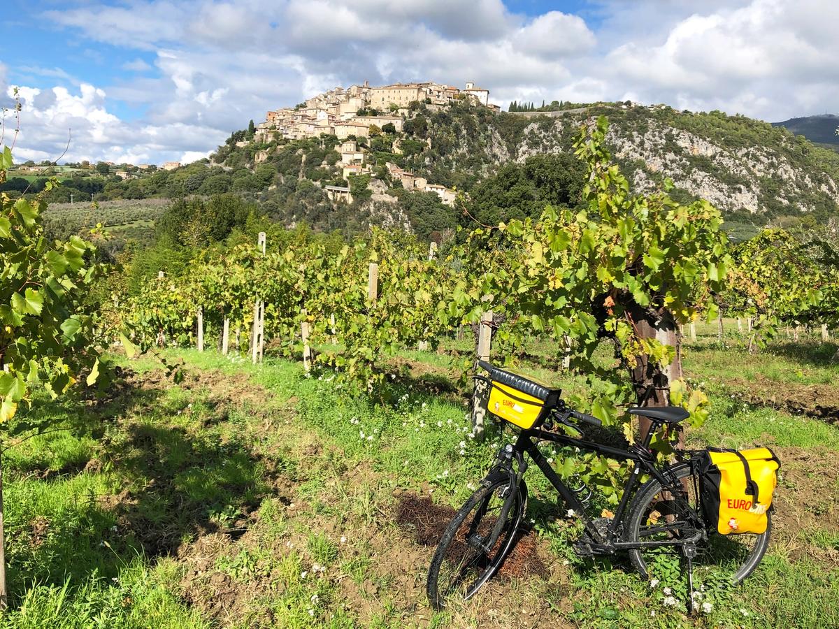 a picturesque scene in Umbria, Italy, featuring a bicycle amidst vineyards with a hilltop town in the background