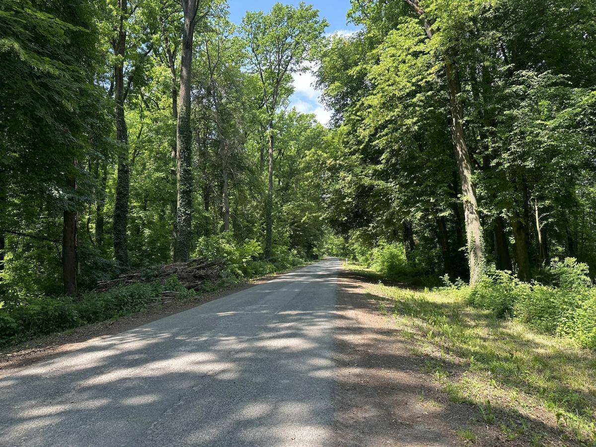 Cycling Path