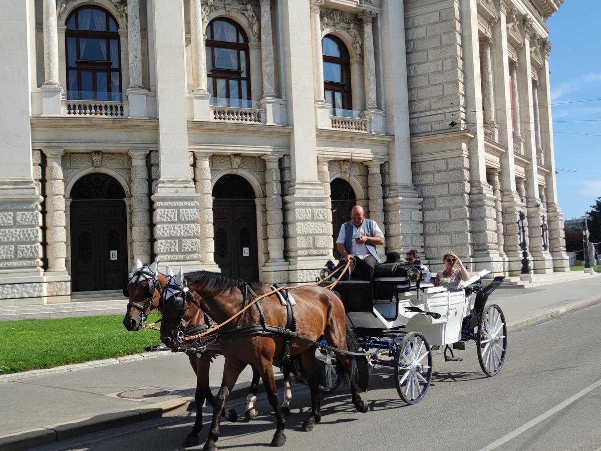 a horse-drawn carriage, also known as a "fiaker," in front of the Burgtheater in Vienna, Austria