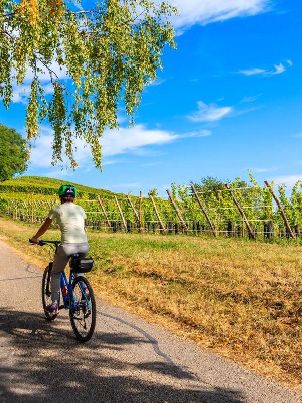 Alsace cycling holidays in France