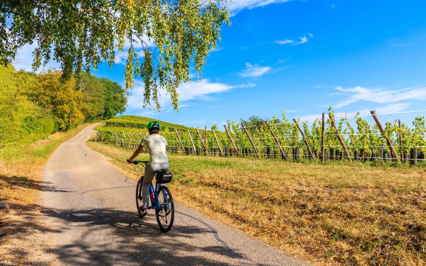 Alsace cycling holidays in France
