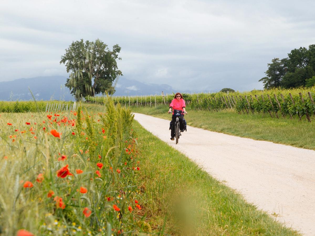 cycling tour