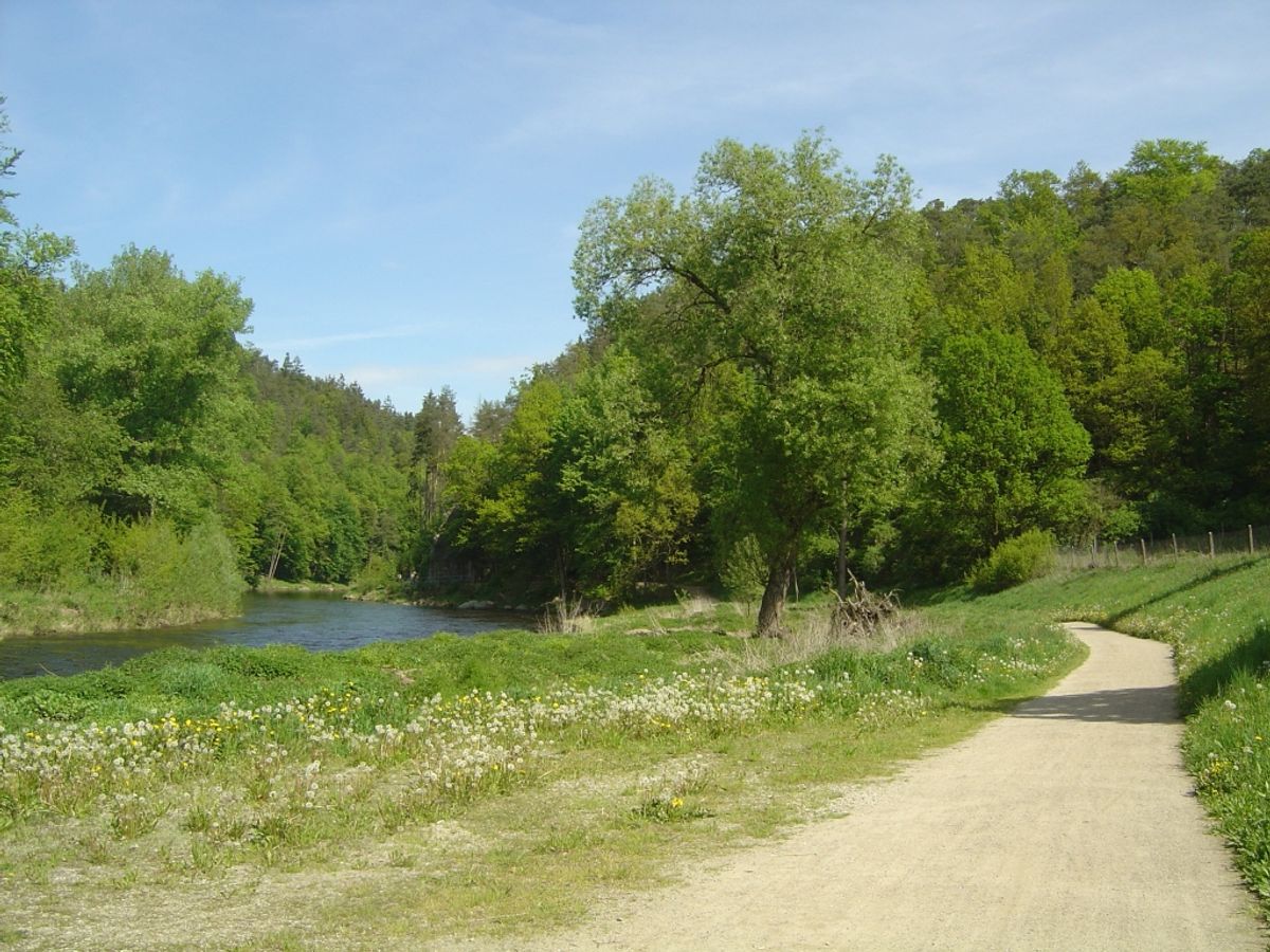 Riverbank trails in South Bohemia