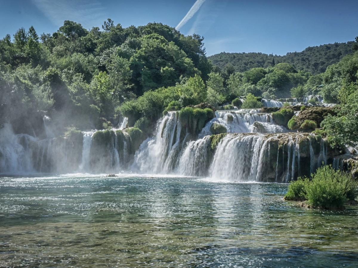 Waterfall in a lush green forest within a national park
