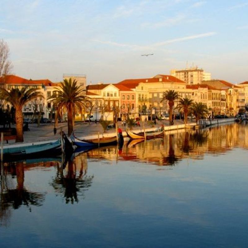 Hotel Moliceiro Exterior