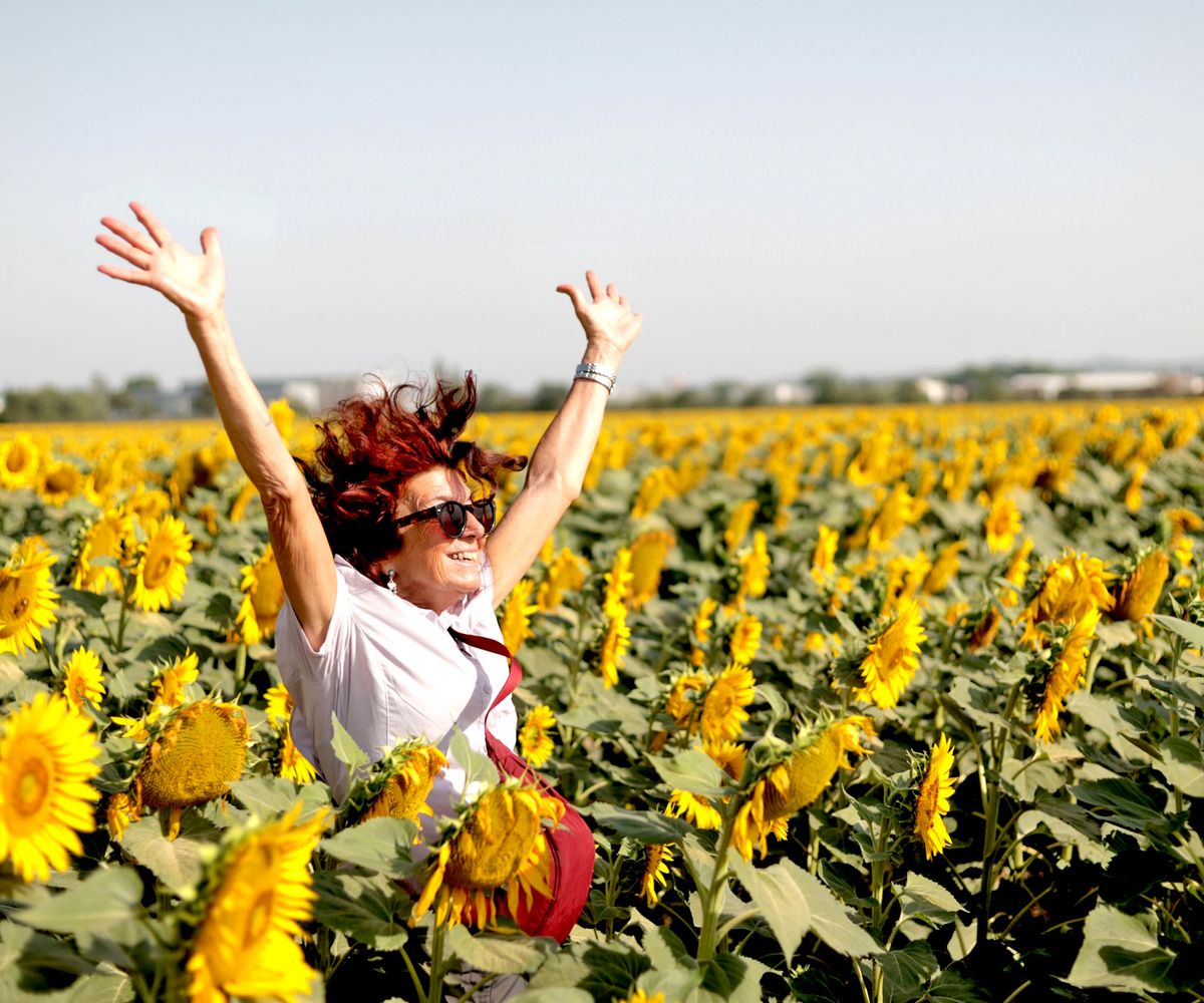 Celebrating in sunflowers