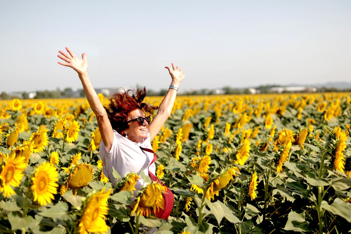 Celebrating in sunflowers