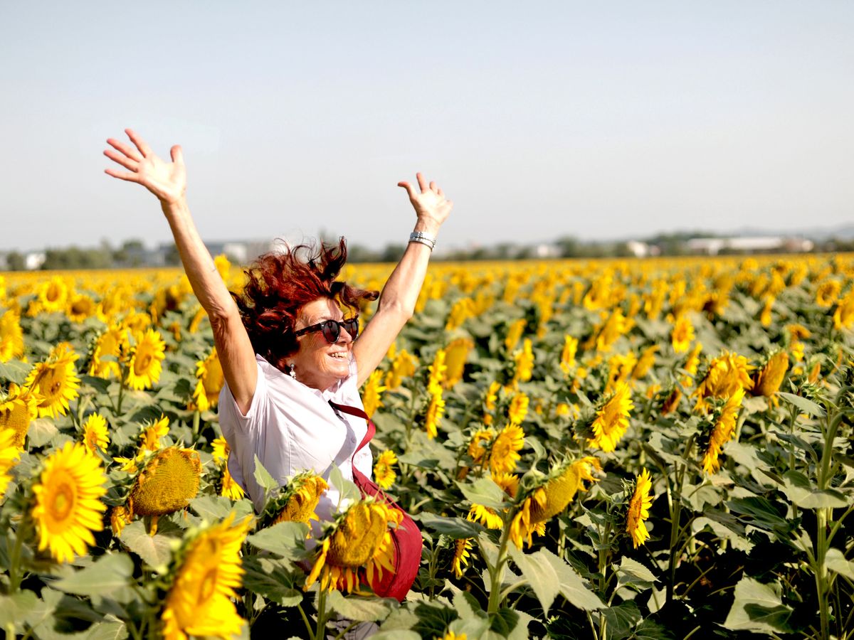 Celebrating in sunflowers