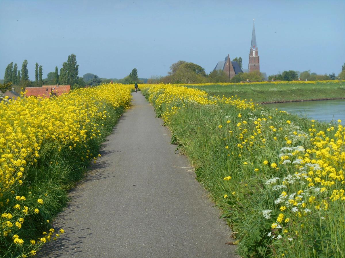 scenic rural landscape, likely in spring or early summer