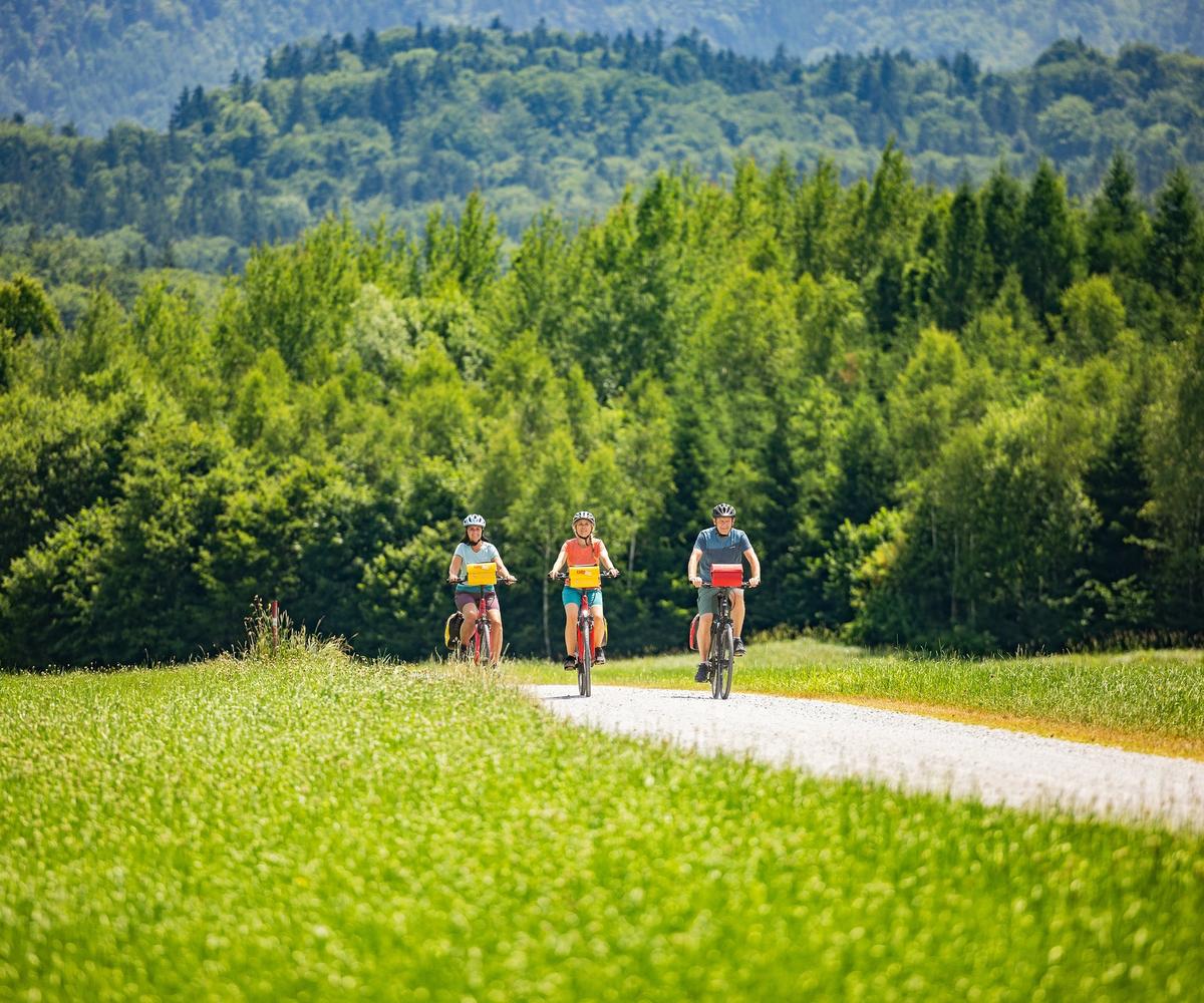 A group cycling holiday near Salzburg