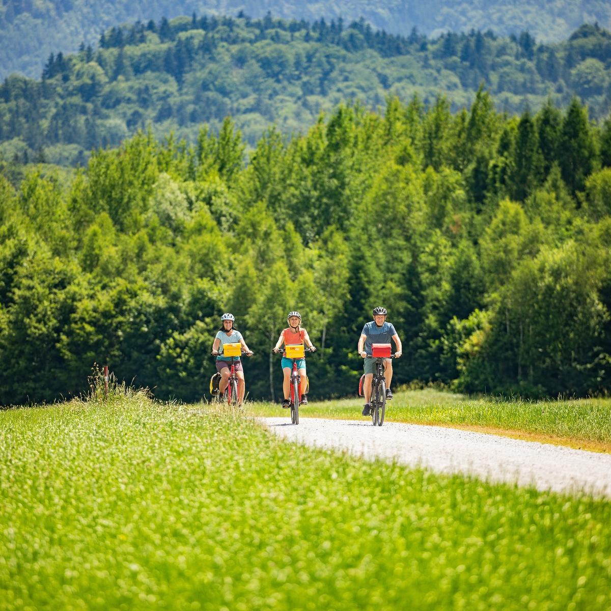 A group cycling holiday near Salzburg