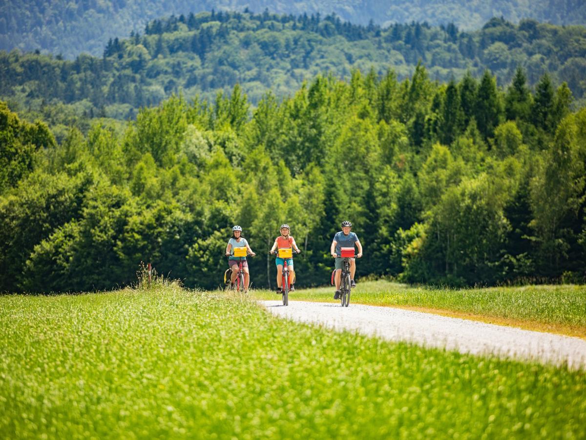 A group cycling holiday near Salzburg