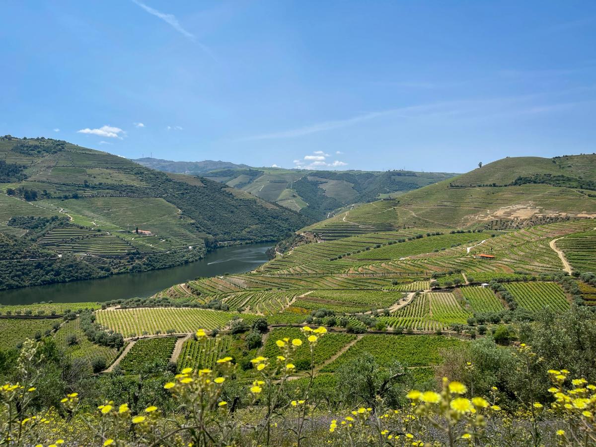 near Duruelo de la Sierra in the Spanish province of Soria