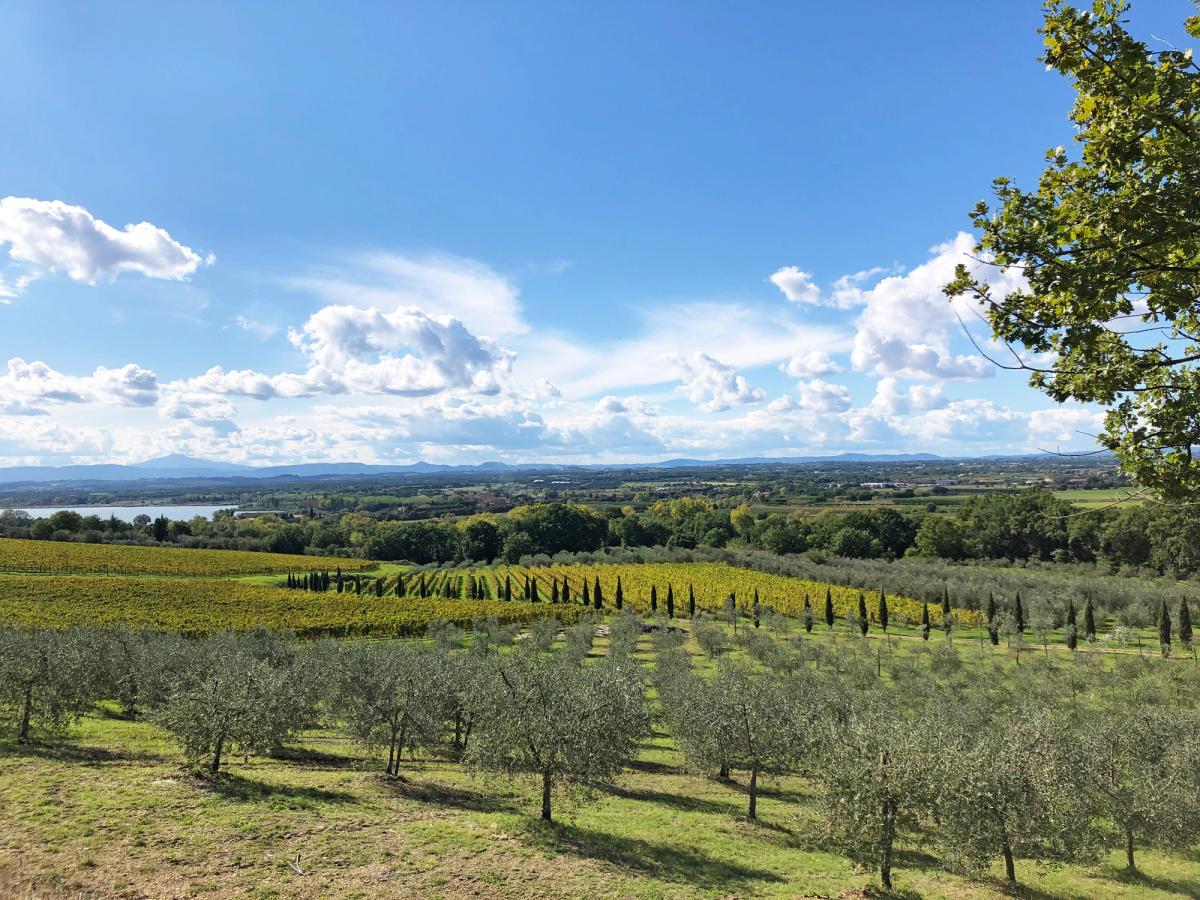 a scenic landscape along the St. Francis' Way (La Via di Francesco) in Umbria, Italy